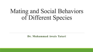 Mating and Social Behaviors
of Different Species
Dr. Muhammad Awais Tatari
 