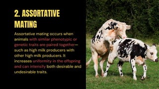 Mating Systems in Animal Breeding - Animal Physiology and Anatomy | PDF
