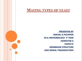 MATING TYPES OF YEAST
PRESENTED BY
SNEHAL G PACHPOR
M.Sc MICROBIOLOGY Ist YEAR
(SEMESTER I)
PAPER IV
MEMBRANE STRUCTURE
AND SIGNAL TRANSDUCTION
 