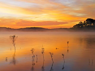 Matins _visuels_calins_émotionnels