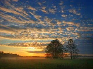 Matins _visuels_calins_émotionnels