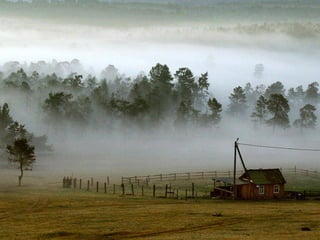 Matins _visuels_calins_émotionnels