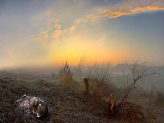 Matins _visuels_calins_émotionnels