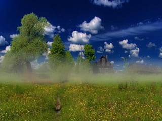 Matins _visuels_calins_émotionnels