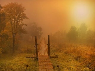 Matins _visuels_calins_émotionnels