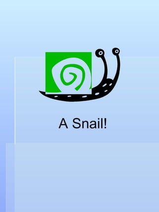 A Snail! 