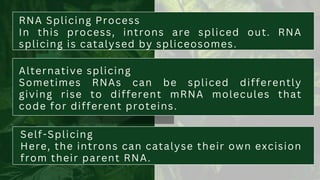 RNA Splicing Process
In this process, introns are spliced out. RNA
splicing is catalysed by spliceosomes.
Alternative splicing
Sometimes RNAs can be spliced differently
giving rise to different mRNA molecules that
code for different proteins.
Self-Splicing
Here, the introns can catalyse their own excision
from their parent RNA.
 