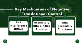 RNA
Interference
(RNAi)
Regulatory
RNA Binding
Proteins
RNA
Secondary
Structures
 