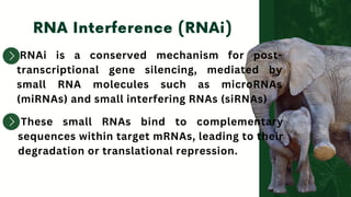RNAi is a conserved mechanism for post-
transcriptional gene silencing, mediated by
small RNA molecules such as microRNAs
(miRNAs) and small interfering RNAs (siRNAs)
These small RNAs bind to complementary
sequences within target mRNAs, leading to their
degradation or translational repression.
 