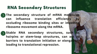 The secondary structure of mRNA molecules
can influence translation efficiency by
occluding ribosome binding sites or impeding
ribosome movement along the mRNA.
Stable RNA secondary structures, such as
hairpins or stem-loop structures, can act as
barriers to translation initiation or elongation,
leading to translational repression.
 