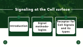 Introduction
Signal
methodo-
logies
Receptor for
Cell Signals
and its
types
 