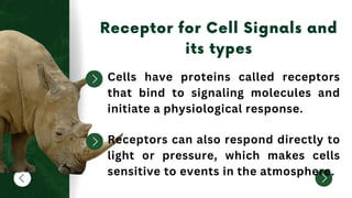 Cells have proteins called receptors
that bind to signaling molecules and
initiate a physiological response.
Receptors can also respond directly to
light or pressure, which makes cells
sensitive to events in the atmosphere.
 