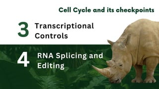 4
3 Transcriptional
Controls
RNA Splicing and
Editing
 