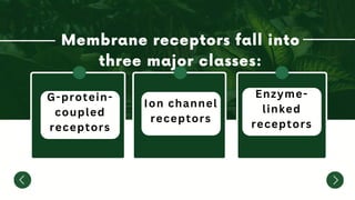 G-protein-
coupled
receptors
Ion channel
receptors
Enzyme-
linked
receptors
 