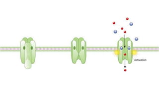 Matium_Cellbio-Cellcylesanditscheckpoints.pptx