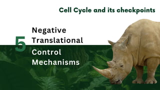 5
Negative
Translational
Control
Mechanisms
 