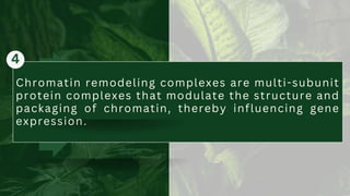 Chromatin remodeling complexes are multi-subunit
protein complexes that modulate the structure and
packaging of chromatin, thereby influencing gene
expression.
4
 
