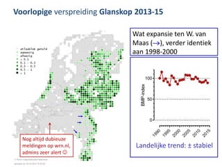 Voorlopige verspreiding Glanskop 2013-15
Wat expansie ten W. van
Maas (), verder identiek
aan 1998-2000
Landelijke trend:...