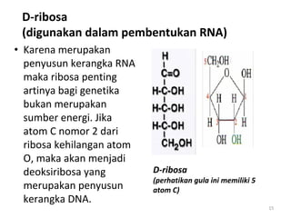 MATKUL BIOKIMIA T ( KARBOHIDRAT )....... | PDF