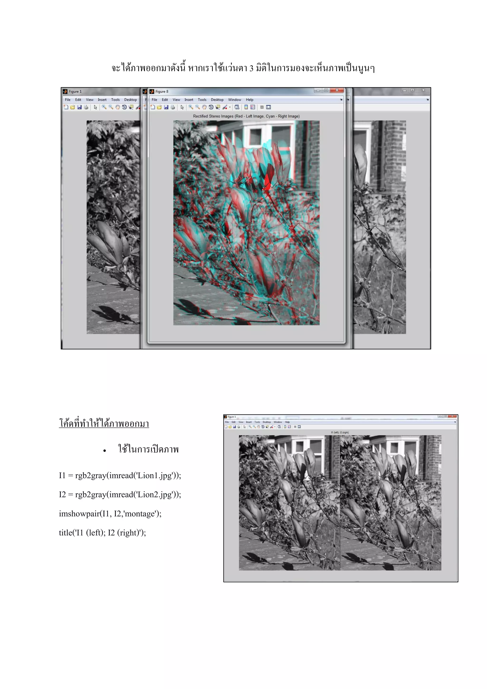 จะได้ภาพออกมาดังนี้ หากเราใช้แว่นตา 3 มิติในการมองจะเห็นภาพเป็นนูนๆ
โค้ดที่ทาให้ได้ภาพออกมา
 ใช้ในการเปิดภาพ
I1 = rgb2gray(imread('Lion1.jpg'));
I2 = rgb2gray(imread('Lion2.jpg'));
imshowpair(I1, I2,'montage');
title('I1 (left); I2 (right)');
 