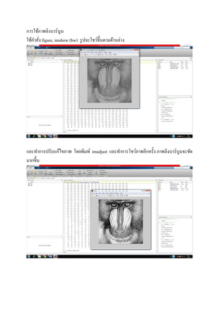 การใช้ภาพลิงบาร์บูน
ใช้คําสัง figure, imshow (bw) รูปจะโชว์ขึนตามด้านล่าง
และทําการปรับแก้ไขภาพ โดยพิมพ์ imadjust และทําการโชว์ภาพอีกครัง ภาพลิงบาร์บูนจะชัด
มากขึน
 