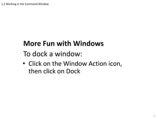 1.2 Working in the Command Window
More Fun with Windows
To dock a window:
• Click on the Window Action icon,
then click on Dock
12
 