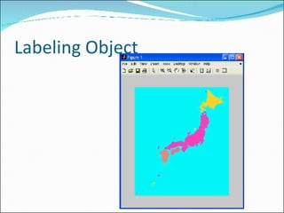 Labeling Object 
