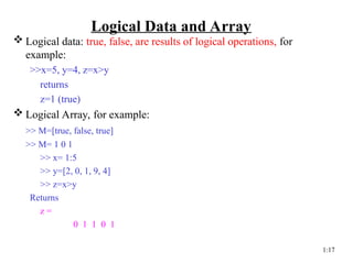 Advanced MATLAB Data Types and Symbolic Computation for Engineering ...