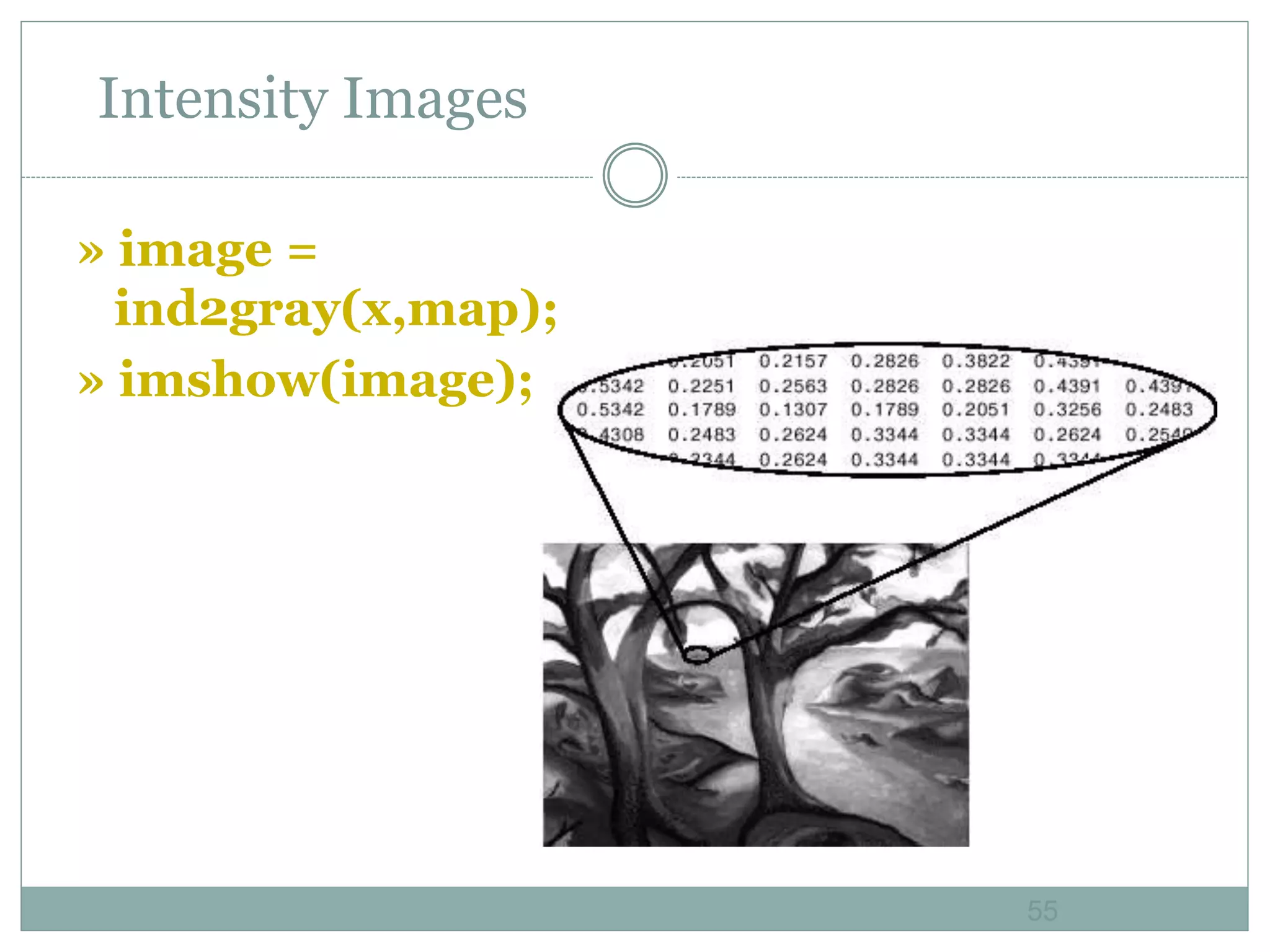 55
55
Intensity Images
» image =
ind2gray(x,map);
» imshow(image);
 