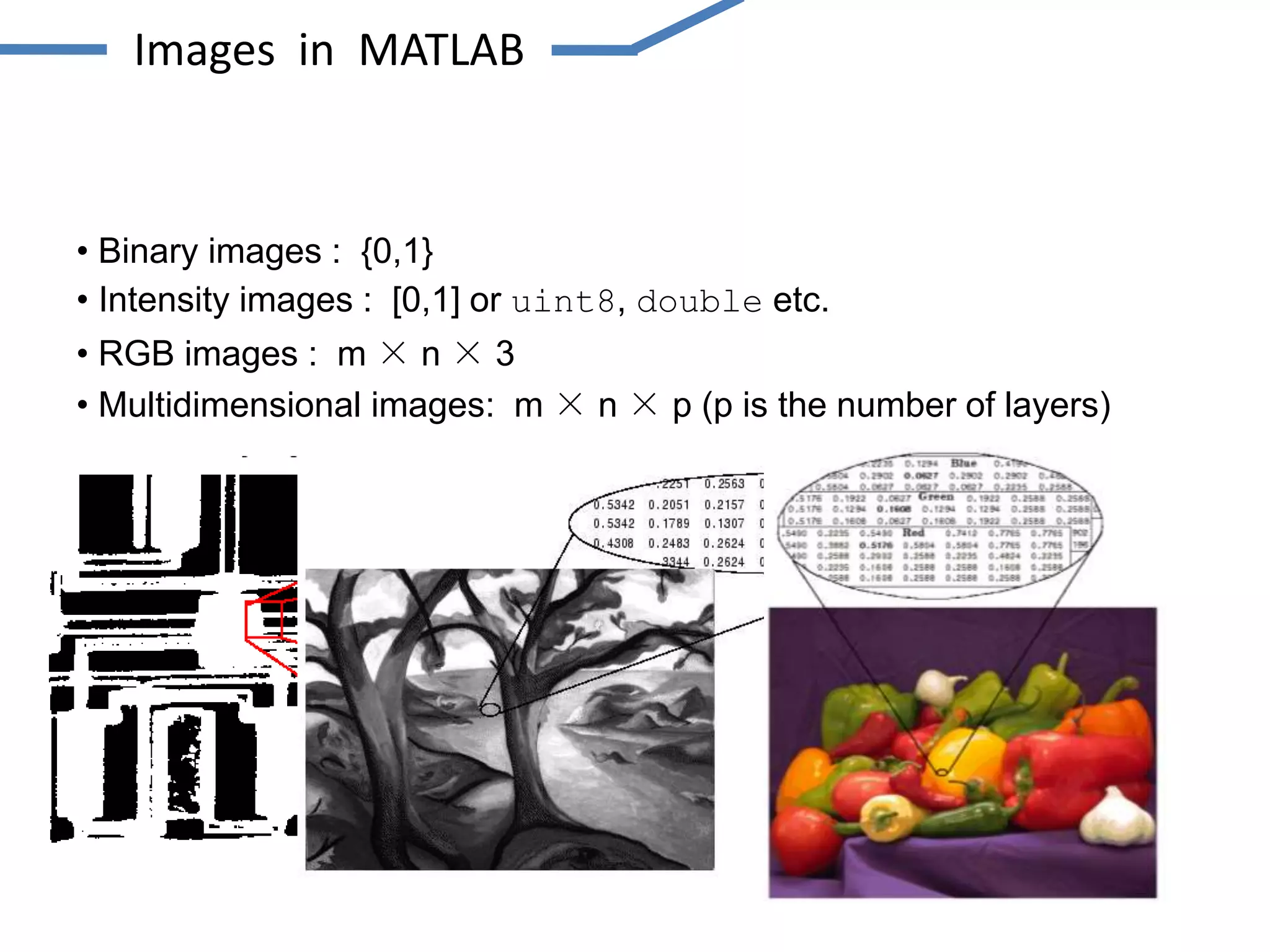 • Binary images : {0,1}
• Intensity images : [0,1] or uint8, double etc.
• RGB images : m × n × 3
• Multidimensional images: m × n × p (p is the number of layers)
Images in MATLAB
 