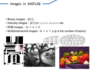 • Binary images : {0,1}
• Intensity images : [0,1] or uint8, double etc.
• RGB images : m × n × 3
• Multidimensional images: m × n × p (p is the number of layers)
Images in MATLAB
 