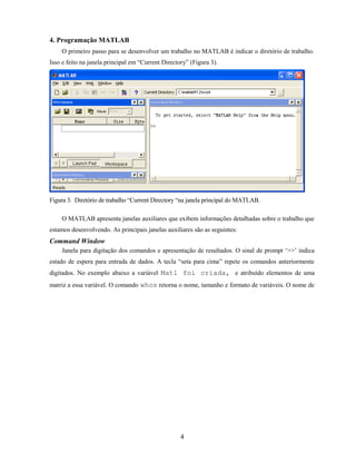 4. Programação MATLAB
O primeiro passo para se desenvolver um trabalho no MATLAB é indicar o diretório de trabalho.
Isso e feito na janela principal em “Current Directory” (Figura 3).
Figura 3. Diretório de trabalho “Current Directory “na janela principal do MATLAB.
O MATLAB apresenta janelas auxiliares que exibem informações detalhadas sobre o trabalho que
estamos desenvolvendo. As principais janelas auxiliares são as seguintes:
Command Window
Janela para digitação dos comandos e apresentação de resultados. O sinal de prompt ‘>>’ indica
estado de espera para entrada de dados. A tecla “seta para cima” repete os comandos anteriormente
digitados. No exemplo abaixo a variável Matl foi criada, e atribuído elementos de uma
matriz a essa variável. O comando whos retorna o nome, tamanho e formato de variáveis. O nome de
4
 