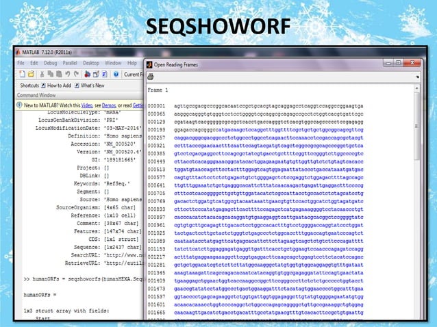Matlab bioinformatics presentation | PPTX | Programming Languages ...