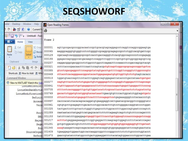 Matlab bioinformatics presentation | PPTX | Programming Languages ...
