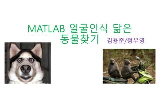 MATLAB 얼굴인식 닮은
동물찾기 김용준/정우영
 