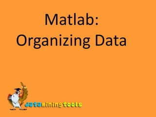 Matlab:Organizing Data 