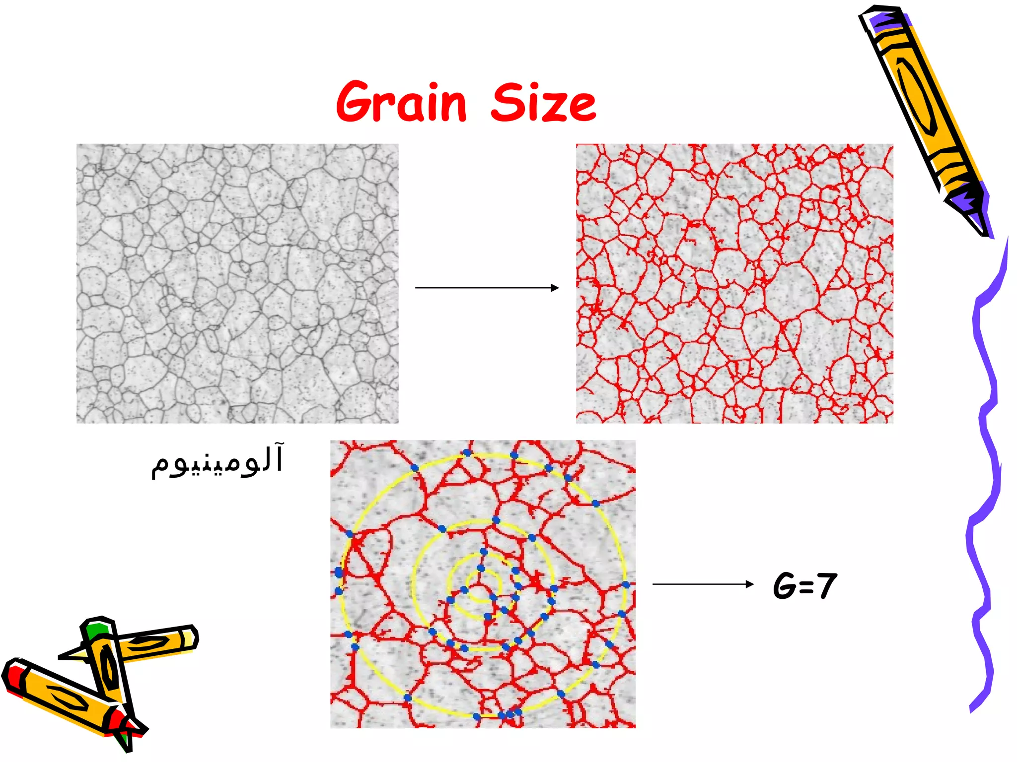 Grain Size




‫آلومينيوم‬


                         G=7
 