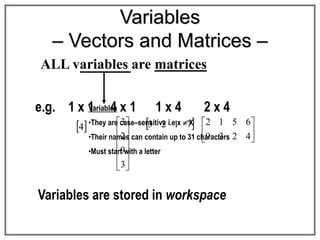 Variables
– Vectors and Matrices –
ALL variables are matrices
Variables
•They are case–sensitive i.e x  X
•Their names can contain up to 31 characters
•Must start with a letter
Variables are stored in workspace
e.g. 1 x 1 4 x 1 1 x 4 2 x 4






4
2
3
9
6
5
1
2
 
7
1
2
3












3
9
2
3
 
4
 