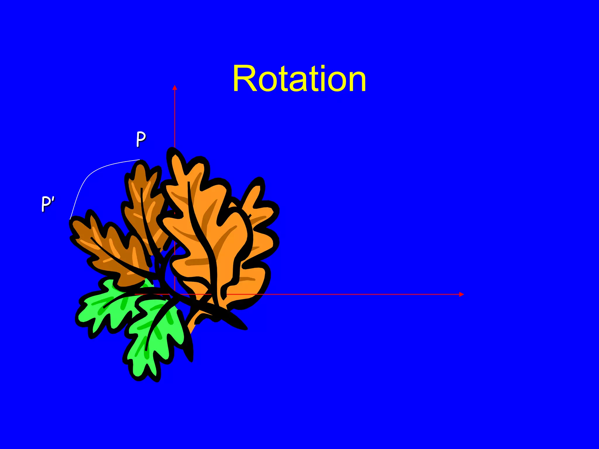 Rotation
P
P’
 