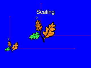 Scaling
P
P’
 