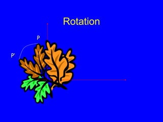 Rotation
P
P’
 