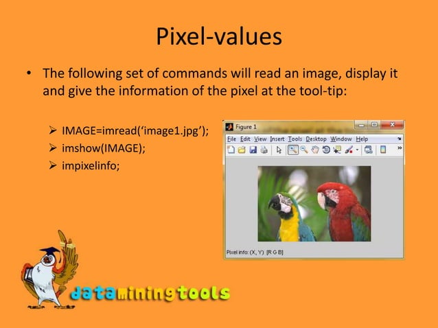 Matlab Working With Images | PPT