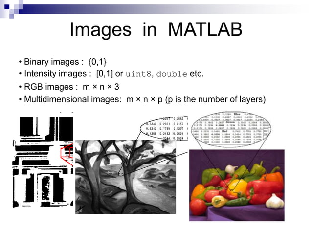 MATLAB & Image Processing | PPT