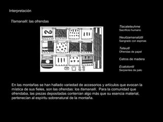 Interpretación
Tlamanalli: las ofrendas
En las montañas se han hallado variedad de accesorios y artículos que evocan la
mística de sus fieles, son las ofrendas: los tlamanalli. Para la comunidad que
ofrendaba, las piezas depositadas contenían algo más que su esencia material,
pertenecían al espíritu sobrenatural de la montaña.
Tlacateteuhme
Sacrificio humano
Neuitzamanaliztli
Sangrado con espinas
Teteuitl
Ofrendas de papel
Cetros de madera
Ecatotontli
Serpientes de palo
 