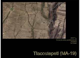 2650%m
/nm
Terraza%de%cultivo,%posiblemente%del
Posclásico
Tim%Tucker
 