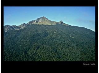 ladera norte
 