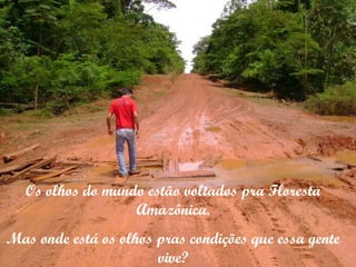 Os olhos do mundo estão voltados pra Floresta Amazônica. Mas onde está os olhos pras condições que essa gente vive? 
