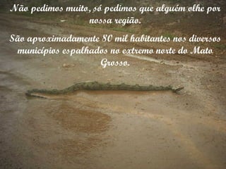 Não pedimos muito, só pedimos que alguém olhe por nossa região. São aproximadamente 80 mil habitantes nos diversos municípios espalhados no extremo norte do Mato Grosso. 