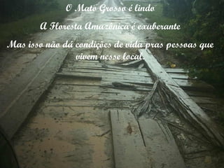 O Mato Grosso é lindo A Floresta Amazônica é exuberante Mas isso não dá condições de vida pras pessoas que vivem nesse local. 