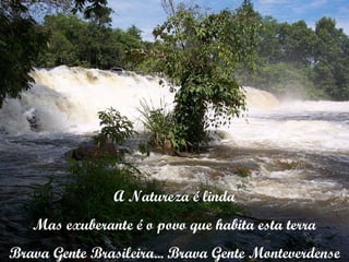 A Natureza é linda Mas exuberante é o povo que habita esta terra Brava Gente Brasileira... Brava Gente Monteverdense 